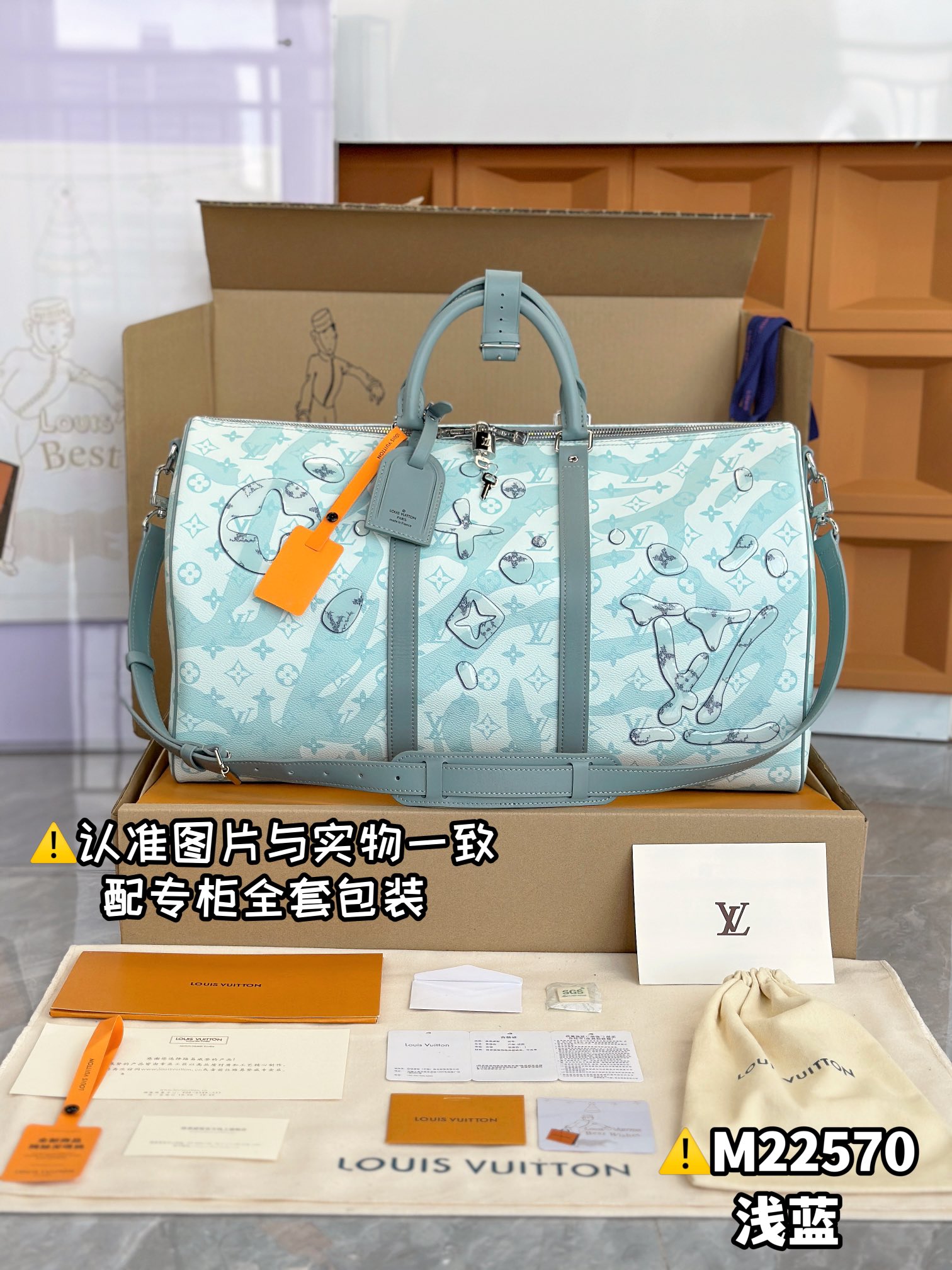 LV Travel Bags